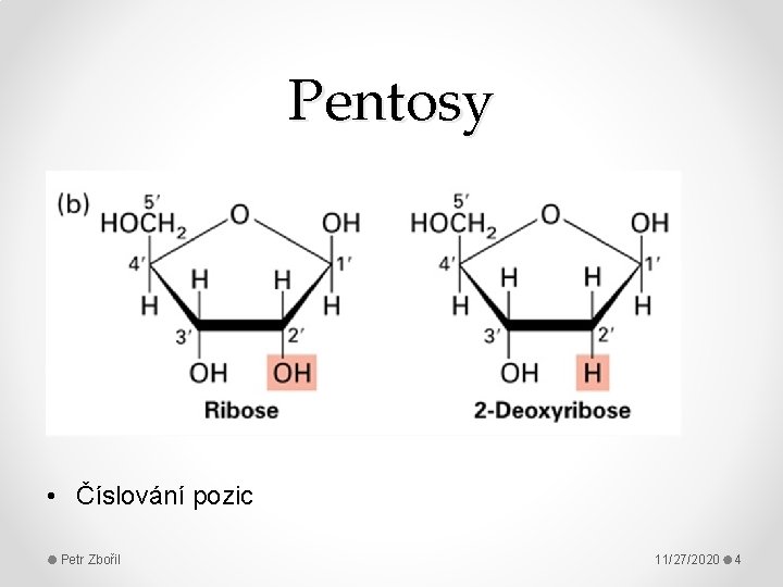 Pentosy • Číslování pozic Petr Zbořil 11/27/2020 4 