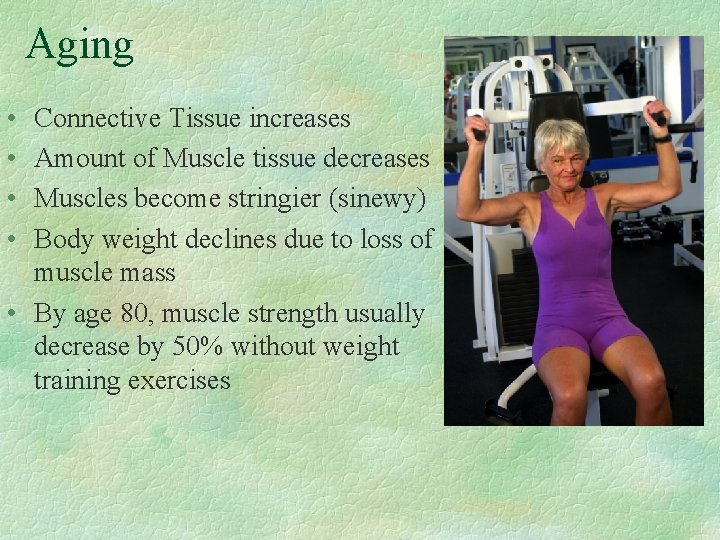 Aging • • Connective Tissue increases Amount of Muscle tissue decreases Muscles become stringier