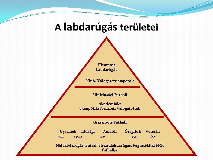 A labdarúgás területei Hivatásos Labdarúgás Klub/ Válogatott csapatok Elit Ifjúsági Futball Akadémiák/ Utánpótlás Nemzeti