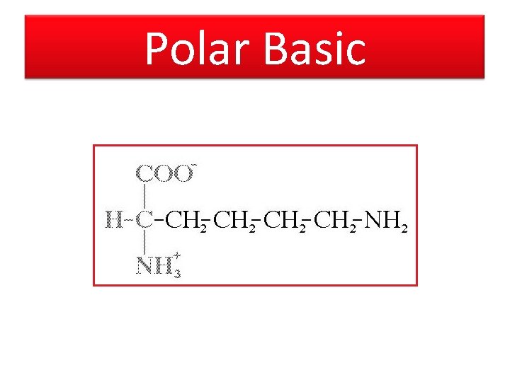 Polar Basic 