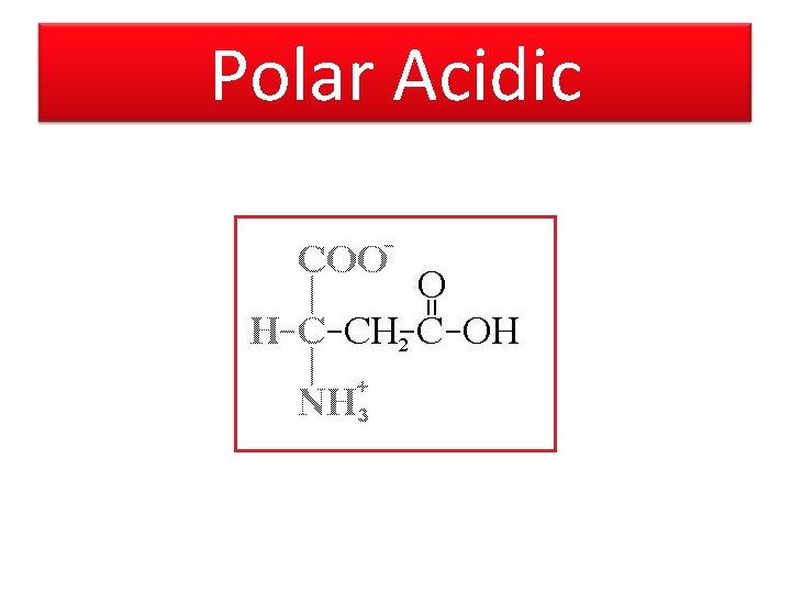 Polar Acidic 