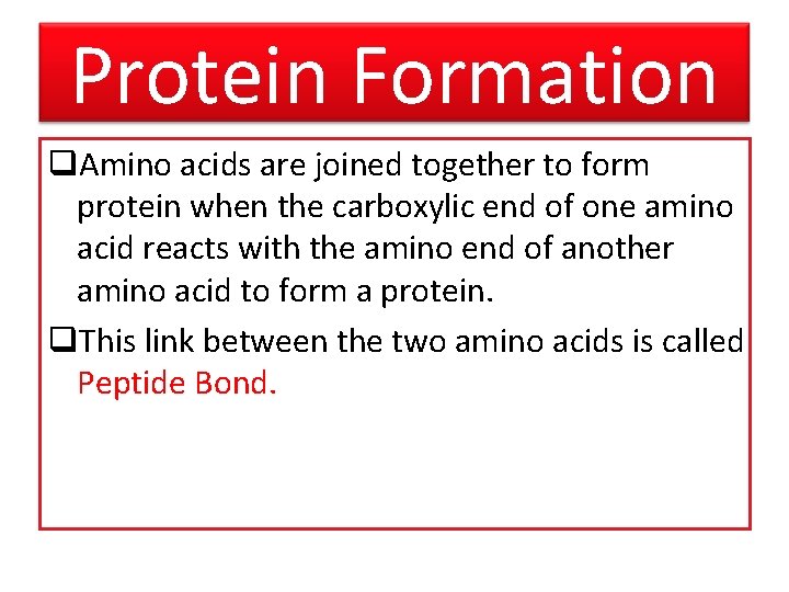 Protein Formation q. Amino acids are joined together to form protein when the carboxylic