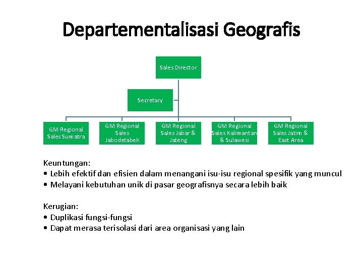 Departementalisasi Geografis Sales Director Secretary GM Regional Sales Sumatra GM Regional Sales Jabodetabek GM