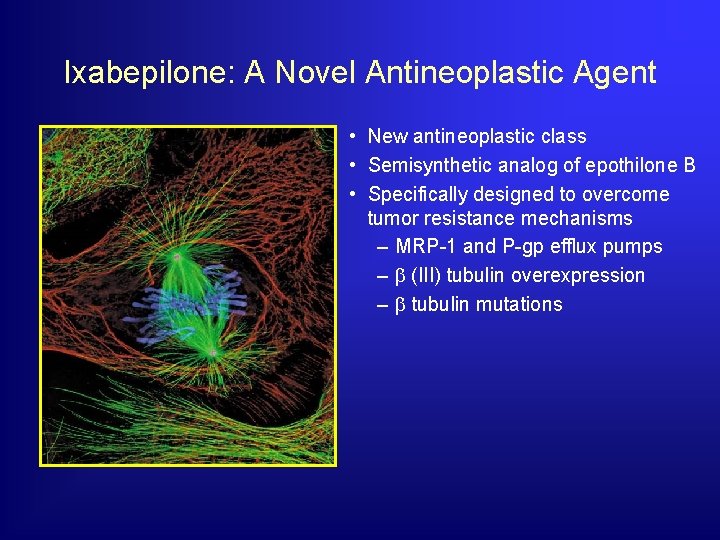 Ixabepilone: A Novel Antineoplastic Agent • New antineoplastic class • Semisynthetic analog of epothilone