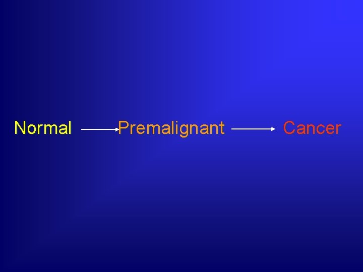  Normal Premalignant Cancer 