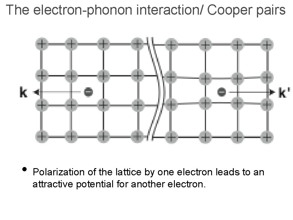 The electron-phonon interaction/ Cooper pairs • Polarization of the lattice by one electron leads