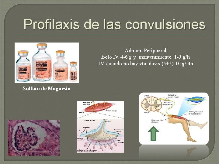 Profilaxis de las convulsiones Admon. Peripueral Bolo IV 4 -6 g y mantenimiento 1