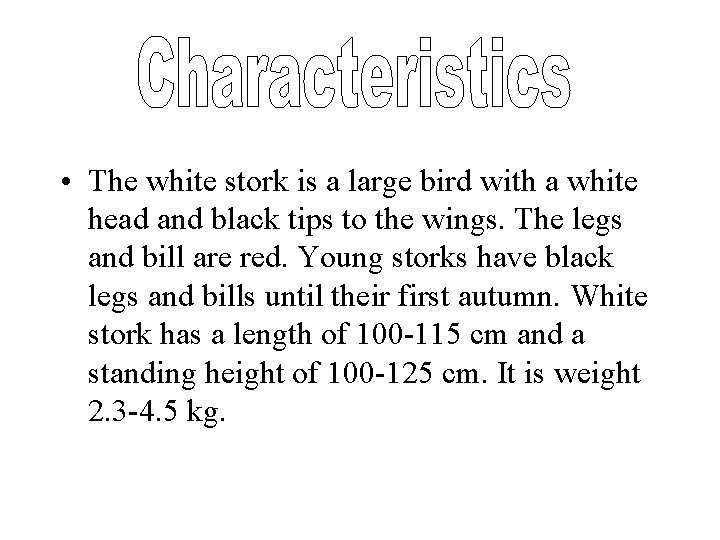  • The white stork is a large bird with a white head and