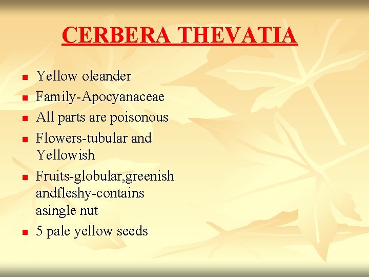 CERBERA THEVATIA n n n Yellow oleander Family-Apocyanaceae All parts are poisonous Flowers-tubular and