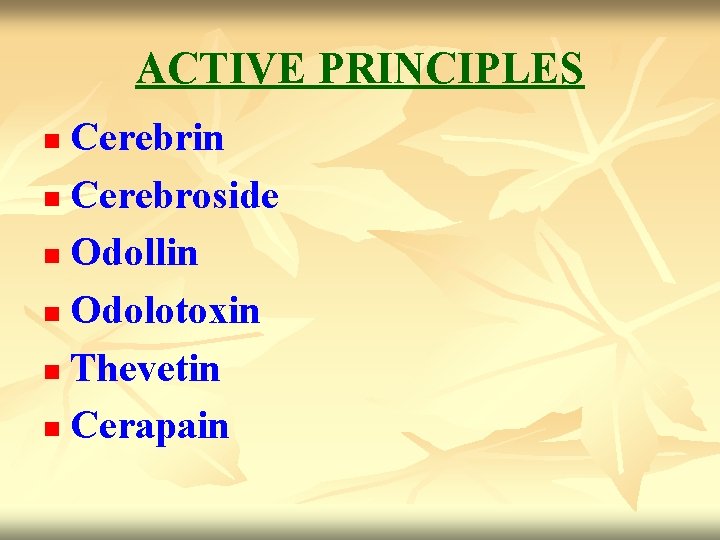ACTIVE PRINCIPLES Cerebrin n Cerebroside n Odollin n Odolotoxin n Thevetin n Cerapain n