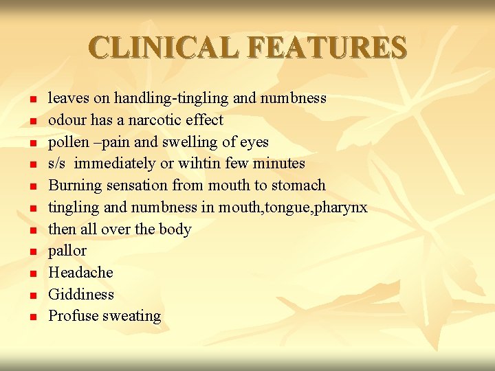 CLINICAL FEATURES n n n leaves on handling-tingling and numbness odour has a narcotic
