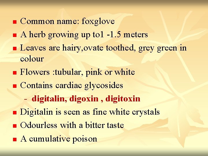 Common name: foxglove n A herb growing up to 1 -1. 5 meters n