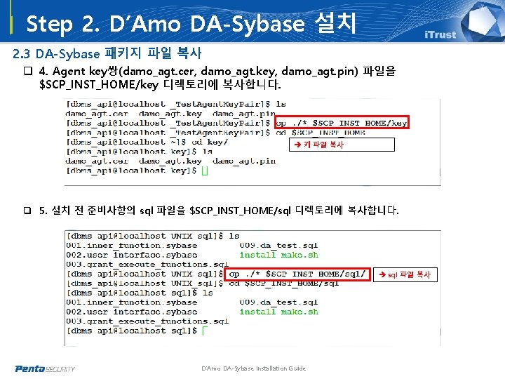 Step 2. D’Amo DA-Sybase 설치 2. 3 DA-Sybase 패키지 파일 복사 q 4. Agent