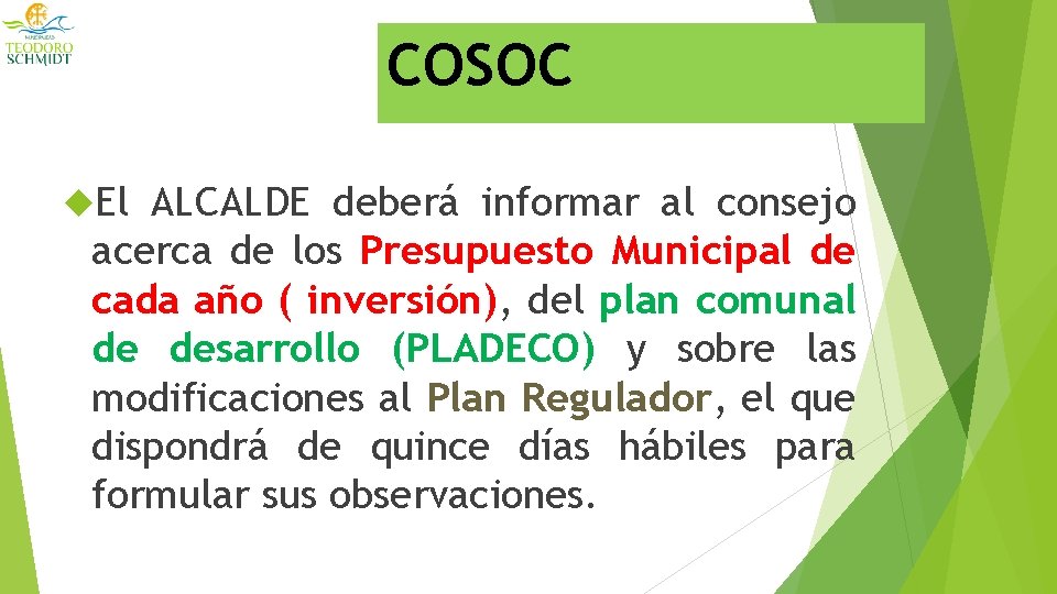 COSOC El ALCALDE deberá informar al consejo acerca de los Presupuesto Municipal de cada