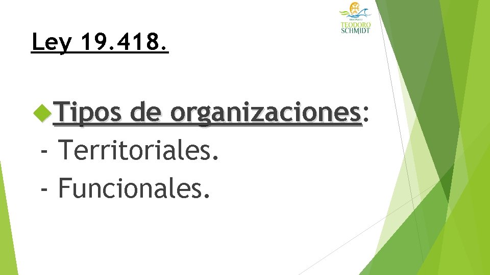 Ley 19. 418. Tipos de organizaciones: organizaciones - Territoriales. - Funcionales. 