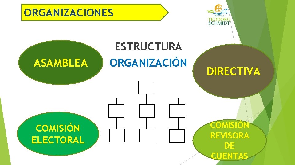 ORGANIZACIONES ASAMBLEA COMISIÓN ELECTORAL ESTRUCTURA ORGANIZACIÓN DIRECTIVA COMISIÓN REVISORA DE CUENTAS 