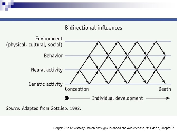 Berger: The Developing Person Through Childhood and Adolescence, 7 th Edition, Chapter 2 