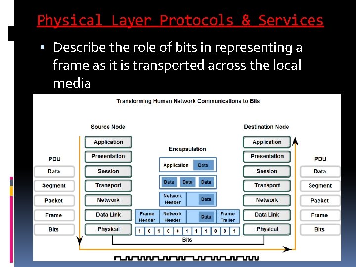 Physical Layer Protocols & Services Describe the role of bits in representing a frame