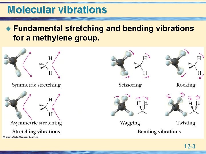 Molecular vibrations u Fundamental stretching and bending vibrations for a methylene group. 12 -3