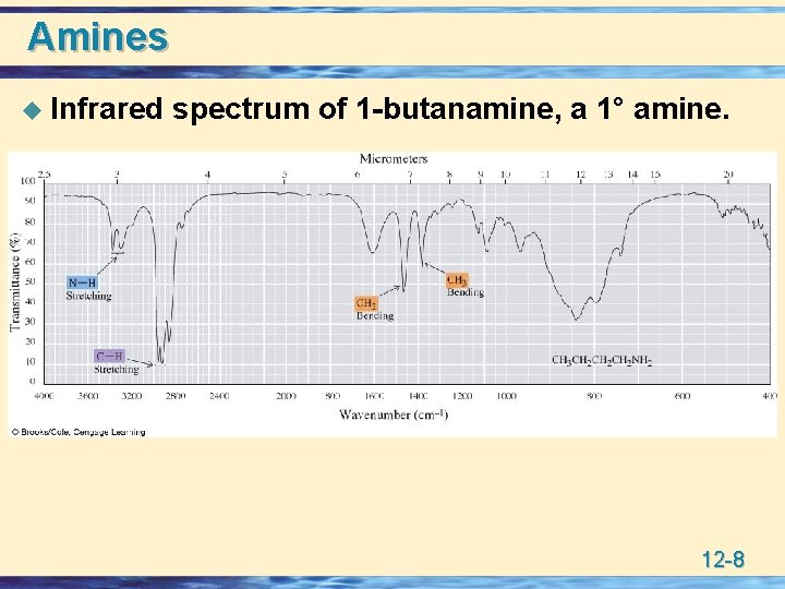 Amines u Infrared spectrum of 1 -butanamine, a 1° amine. 12 -8 