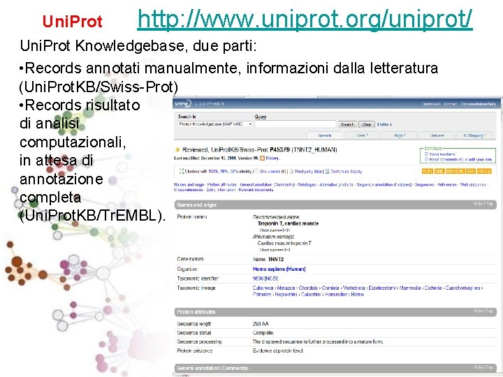 Uni. Prot http: //www. uniprot. org/uniprot/ Uni. Prot Knowledgebase, due parti: • Records annotati