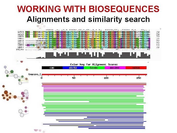 WORKING WITH BIOSEQUENCES Alignments and similarity search 