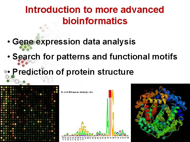Introduction to more advanced bioinformatics • Gene expression data analysis • Search for patterns