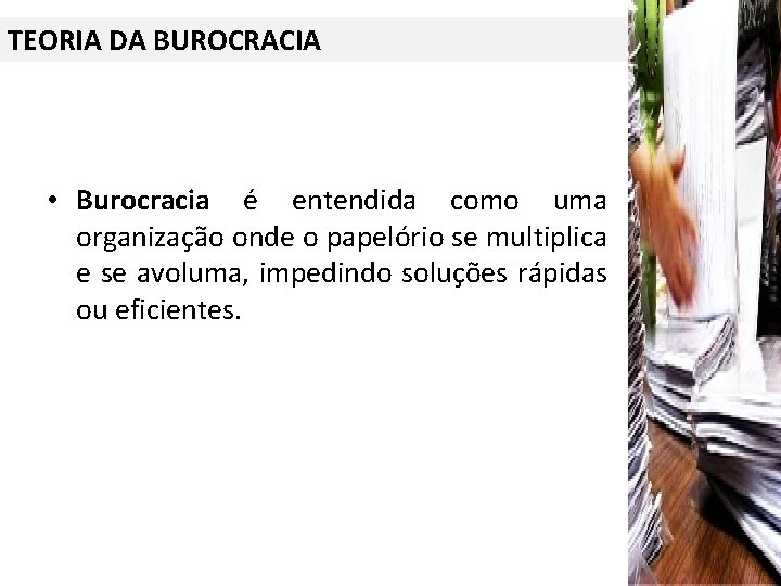 TEORIA DA BUROCRACIA • Burocracia é entendida como uma organização onde o papelório se