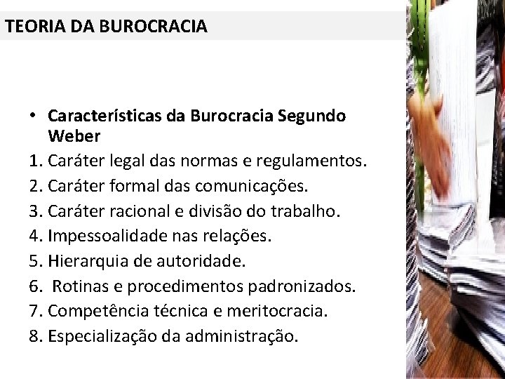 TEORIA DA BUROCRACIA • Características da Burocracia Segundo Weber 1. Caráter legal das normas