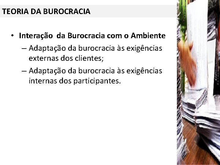 TEORIA DA BUROCRACIA • Interação da Burocracia com o Ambiente – Adaptação da burocracia