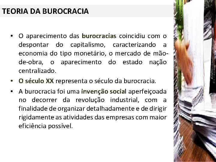 TEORIA DA BUROCRACIA • O aparecimento das burocracias coincidiu com o despontar do capitalismo,