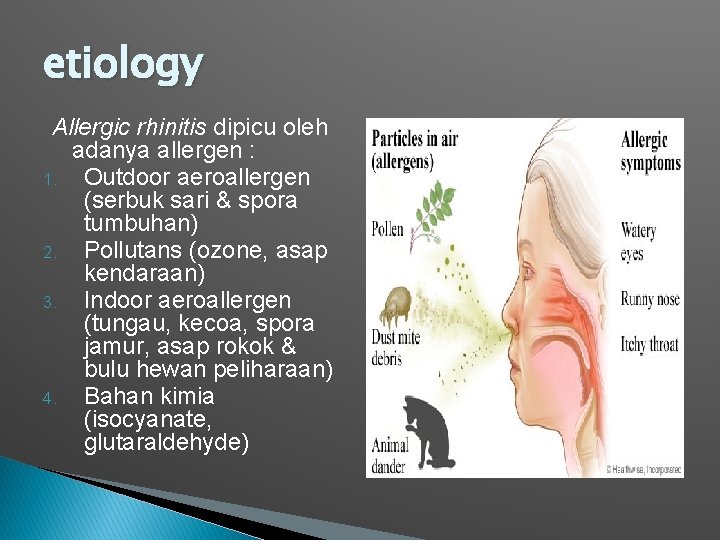 etiology Allergic rhinitis dipicu oleh adanya allergen : 1. Outdoor aeroallergen (serbuk sari &