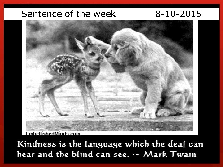 Sentence of the week Bellwork Copy the sentence below the picture into the box