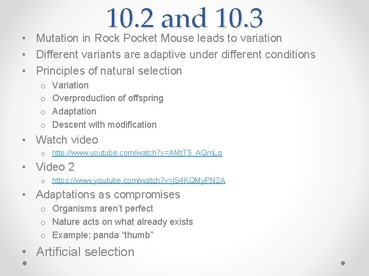 10. 2 and 10. 3 Mutation in Rock Pocket Mouse leads to variation •