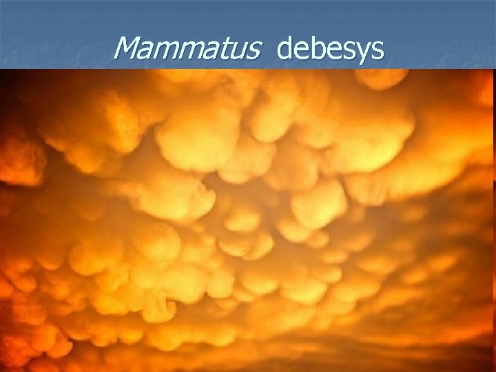 Mammatus debesys 