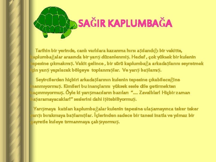 SAĞIR KAPLUMBAĞA Tarihin bir yerinde, canlı varlılara kazanma hırsı aşılandığı bir vakitte, kaplumbağalar arasında