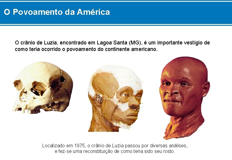 O Povoamento da América O crânio de Luzia, encontrado em Lagoa Santa (MG), é