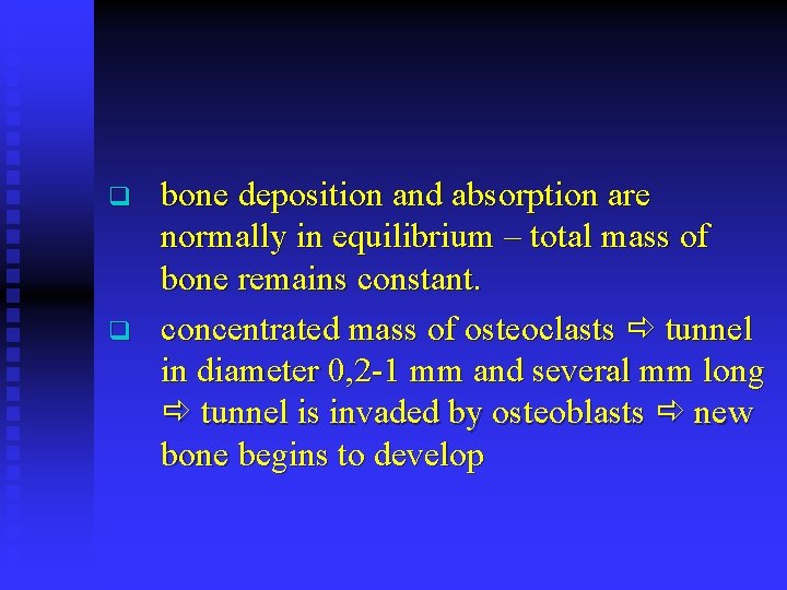 q q bone deposition and absorption are normally in equilibrium – total mass of
