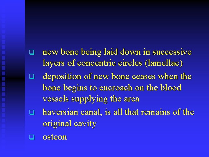 q q new bone being laid down in successive layers of concentric circles (lamellae)