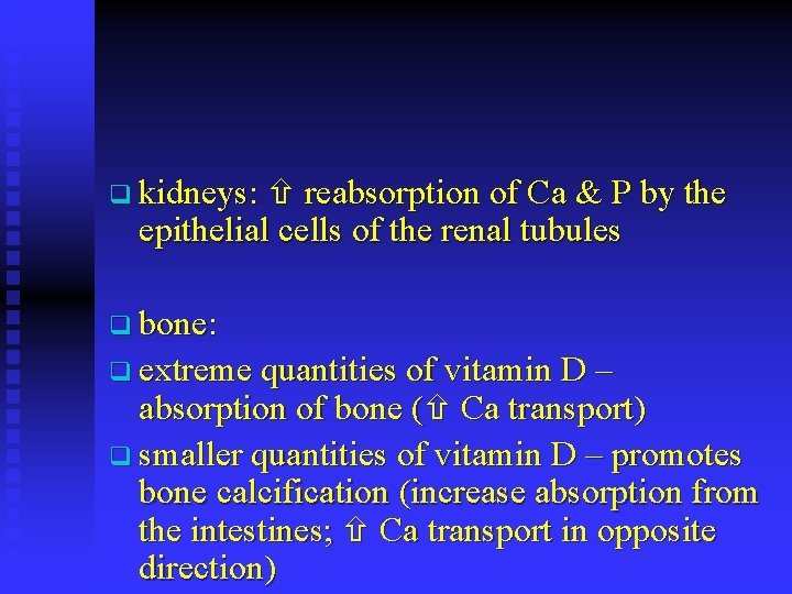 q kidneys: reabsorption of Ca & P by the epithelial cells of the renal