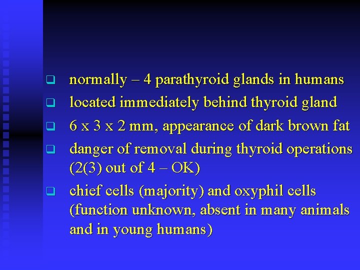 q q q normally – 4 parathyroid glands in humans located immediately behind thyroid