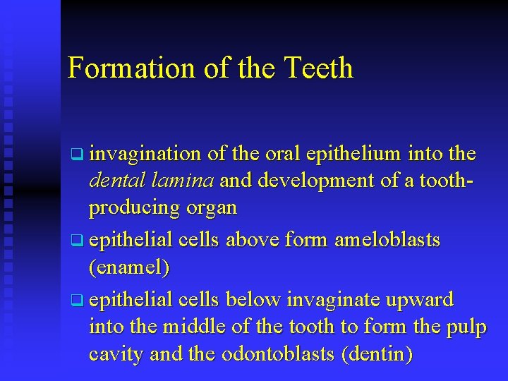 Formation of the Teeth q invagination of the oral epithelium into the dental lamina
