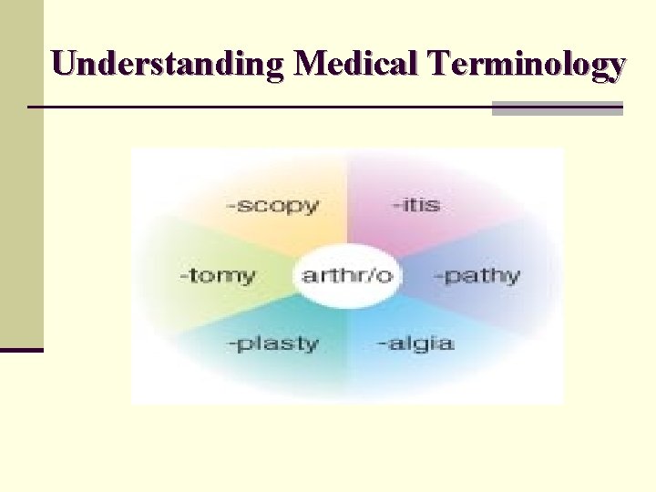 Understanding Medical Terminology 
