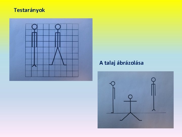 Testarányok A talaj ábrázolása 