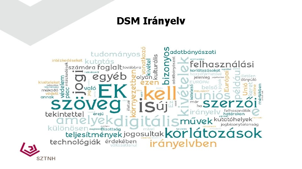 DSM Irányelv 