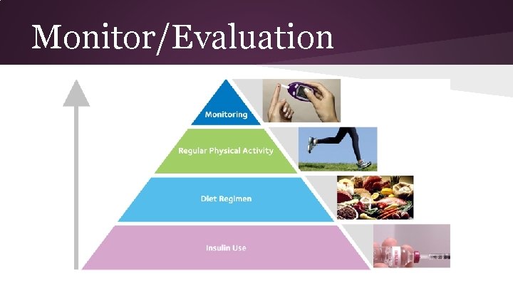 Monitor/Evaluation 