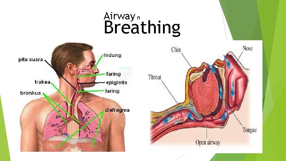 Airway n Breathing 