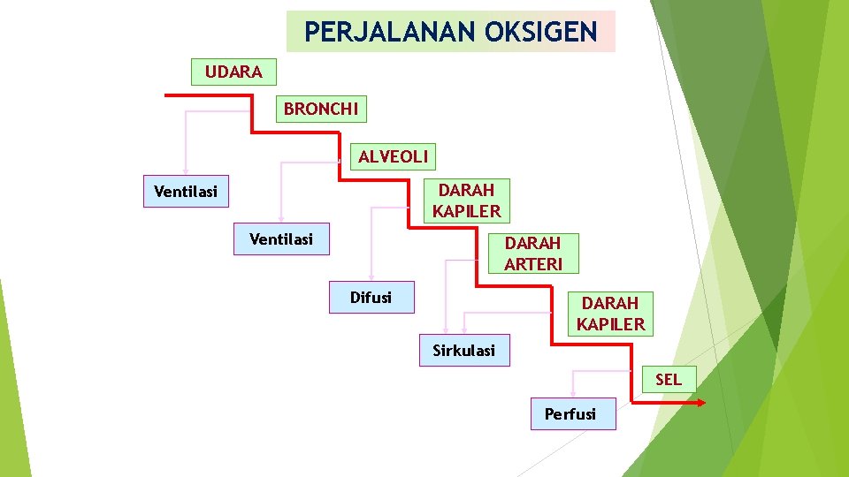 PERJALANAN OKSIGEN UDARA BRONCHI ALVEOLI DARAH KAPILER Ventilasi DARAH ARTERI Difusi DARAH KAPILER Sirkulasi