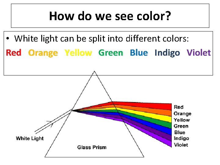 How do we see color? • White light can be split into different colors: