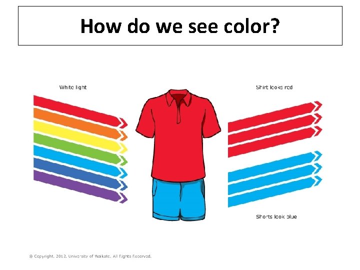 How do we see color? 